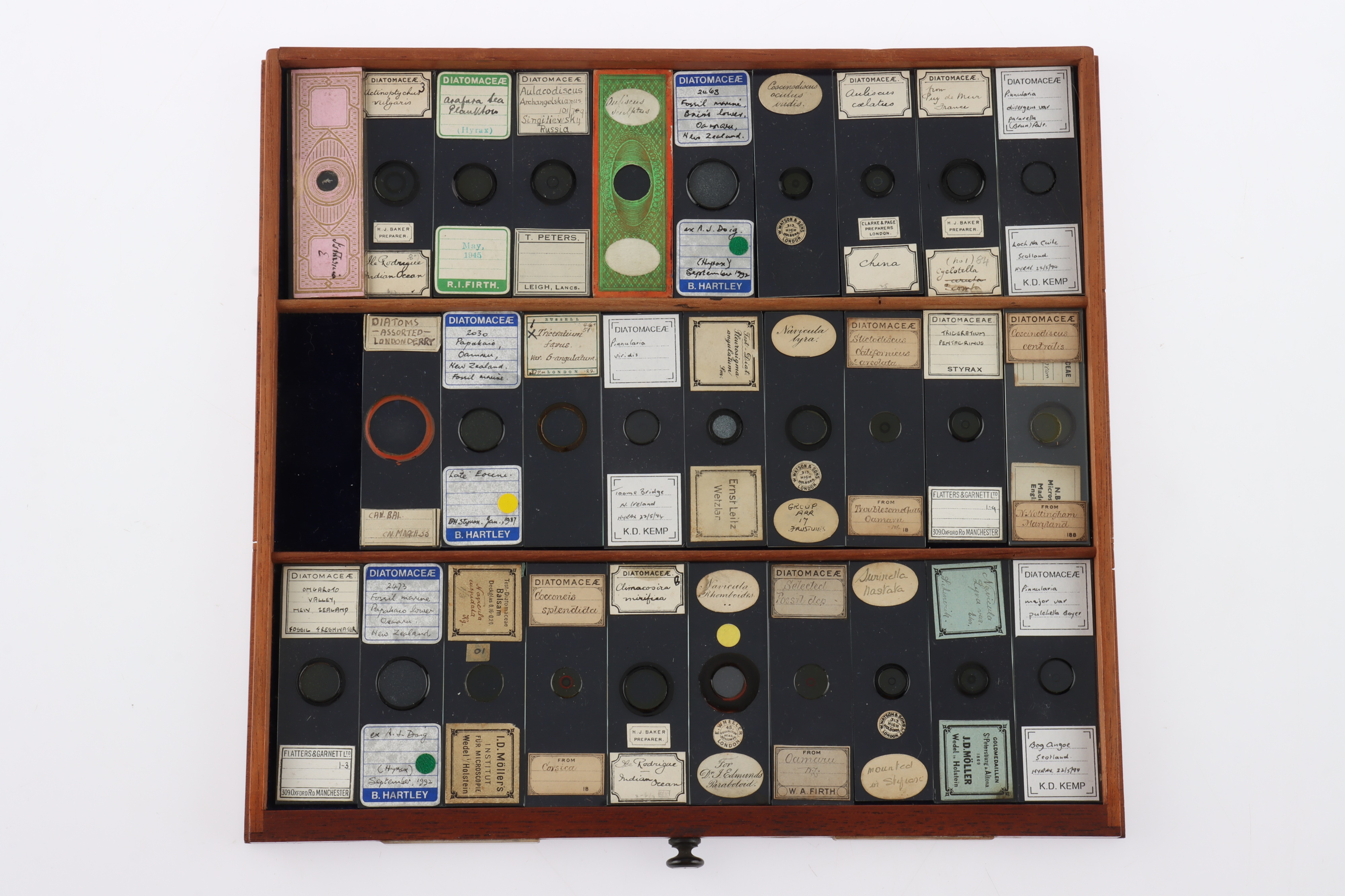 Large Cabinet of fine Victorian Microscope Slides - Image 2 of 26