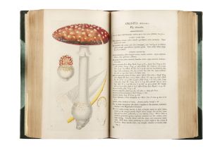 Greville, Robert Kaye, Scottish Cryptogamic Flora, or Coloured Figures and Descriptions of