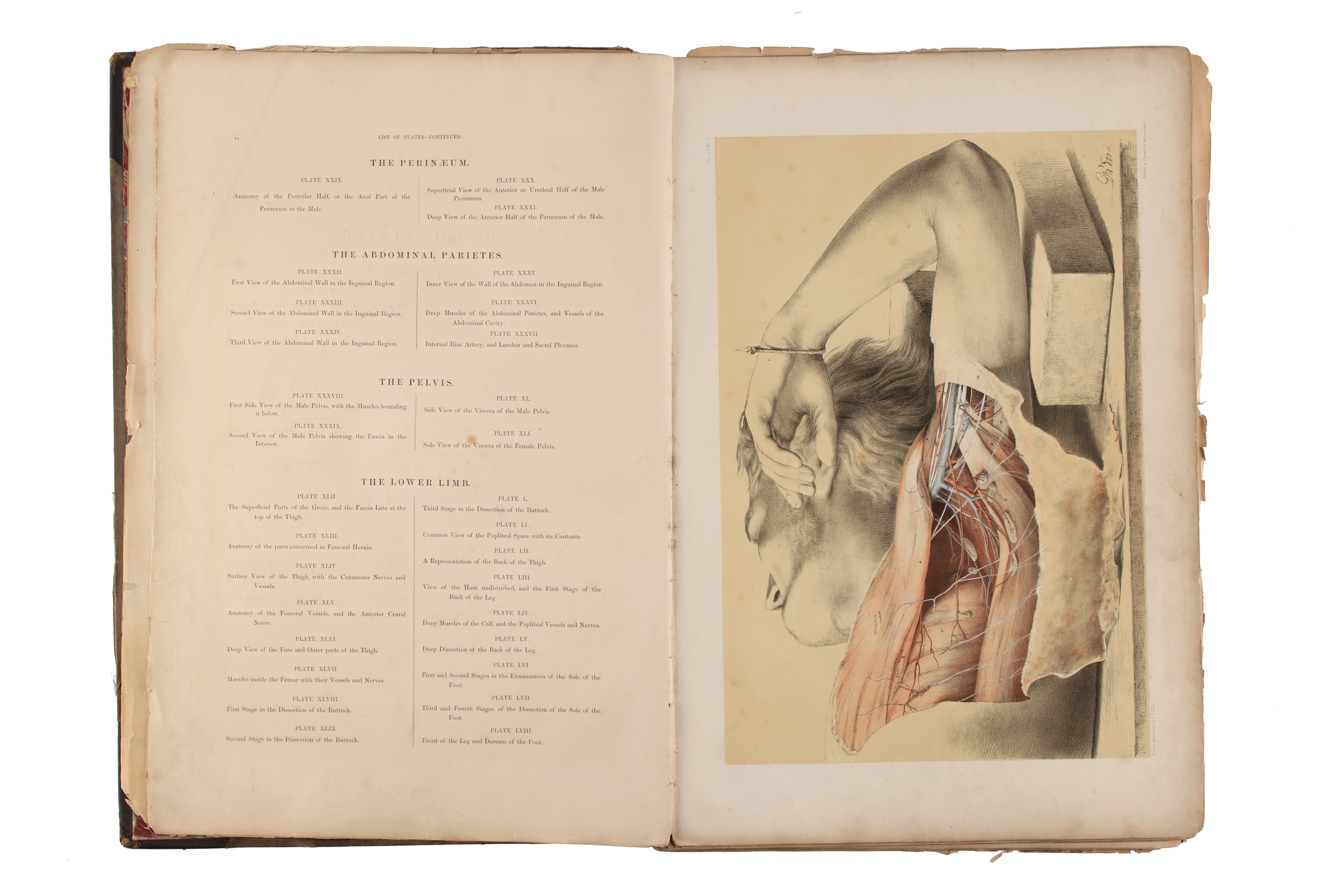Ellis, George Viner, Illustrations of Dissections, 1867, - Image 6 of 6