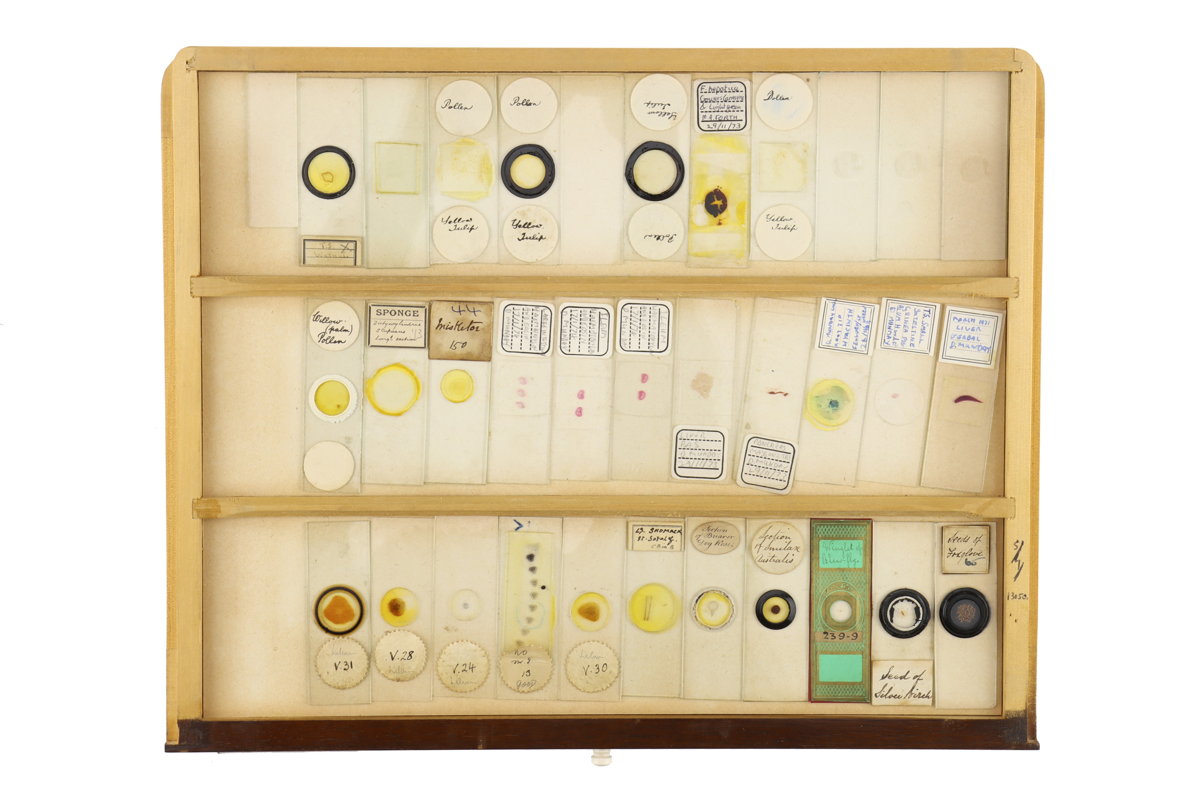 Large Cabinet of Microscope Slides, - Image 9 of 15