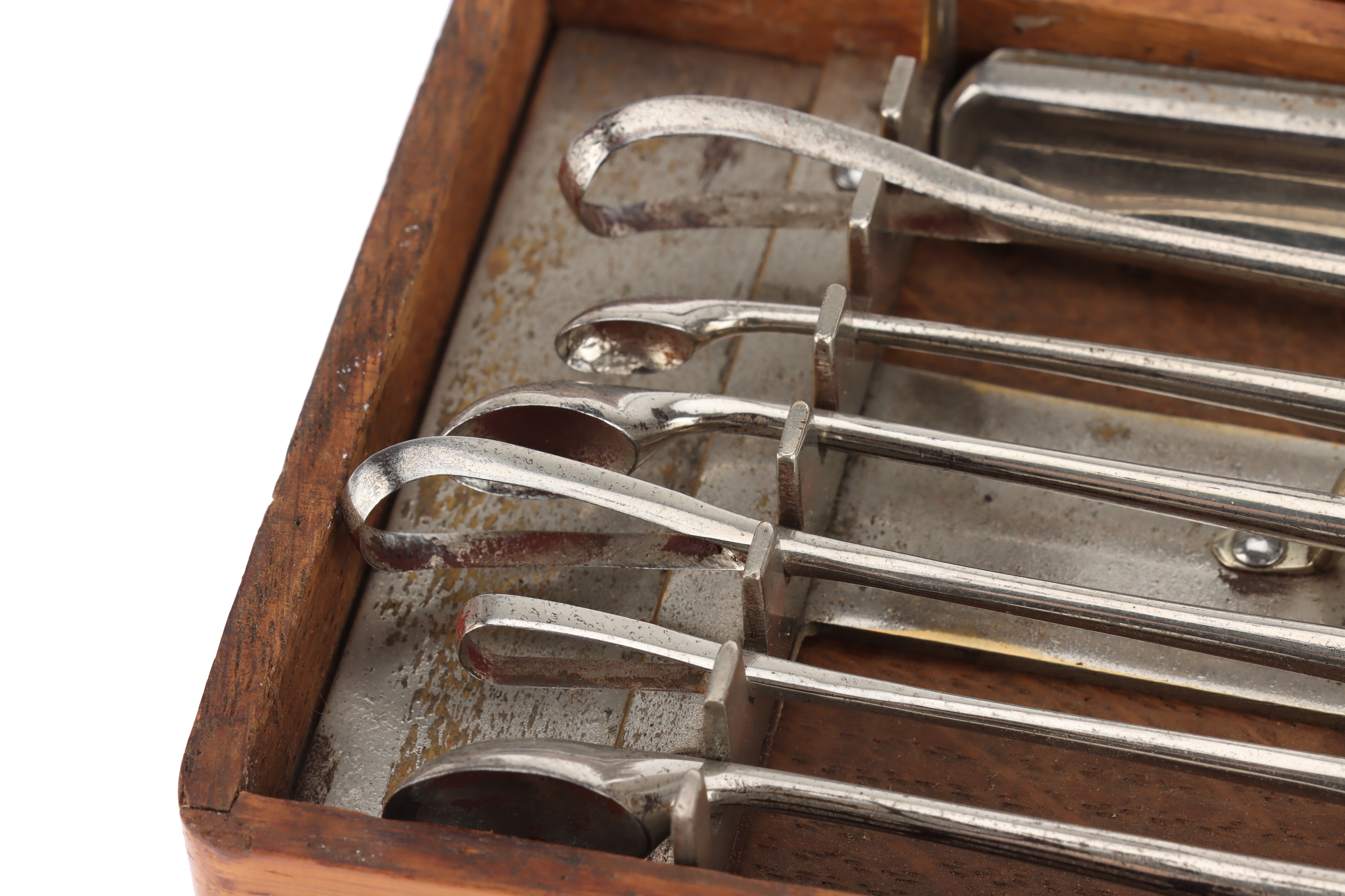 An Assortment of Medical/Veterinary Instruments, - Image 3 of 7