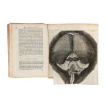Hooke, Robert, Micrographia,