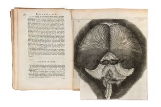 Hooke, Robert, Micrographia,