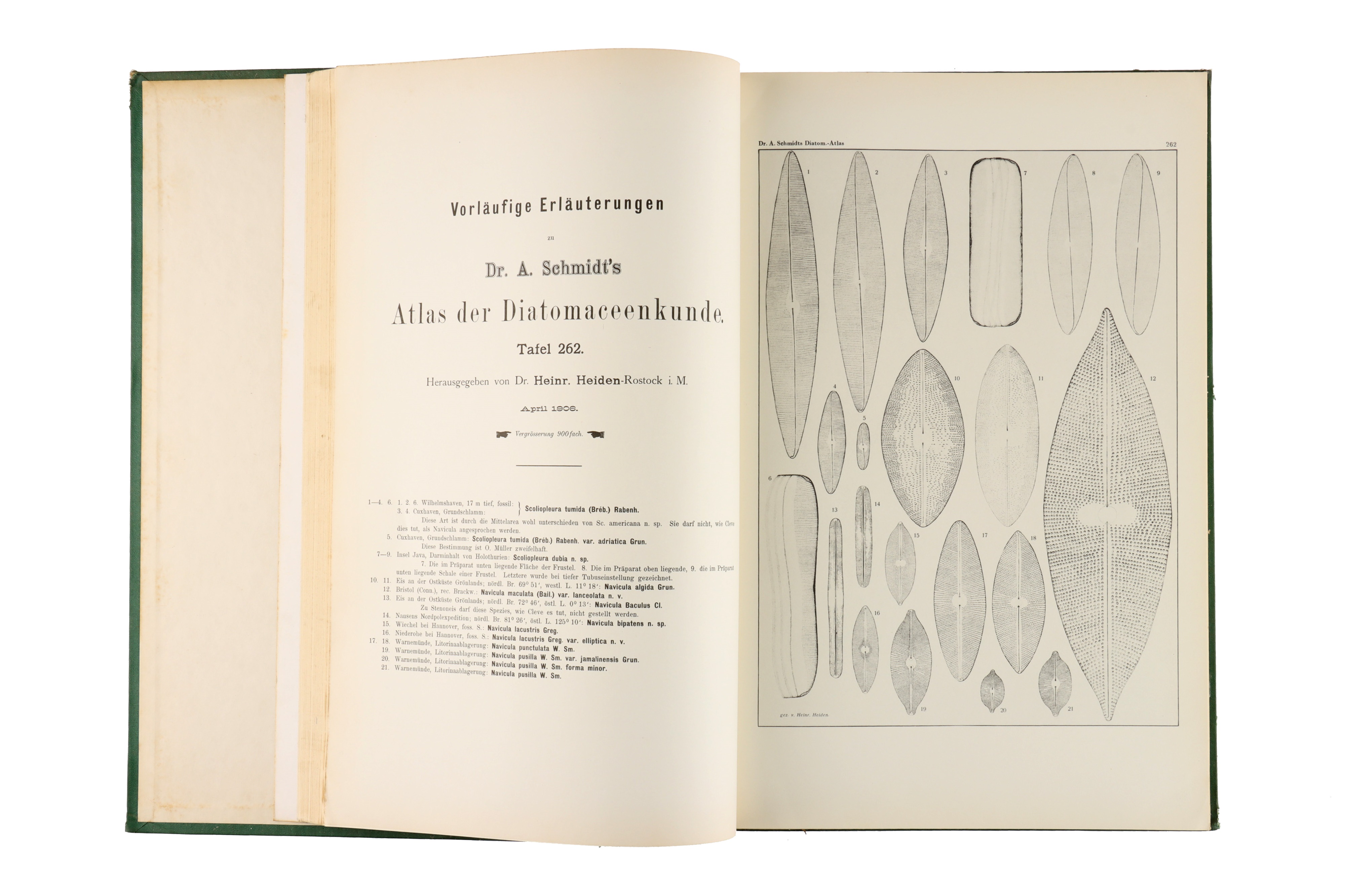 Atlas der Diatomaceen-Kunde. - Image 3 of 5
