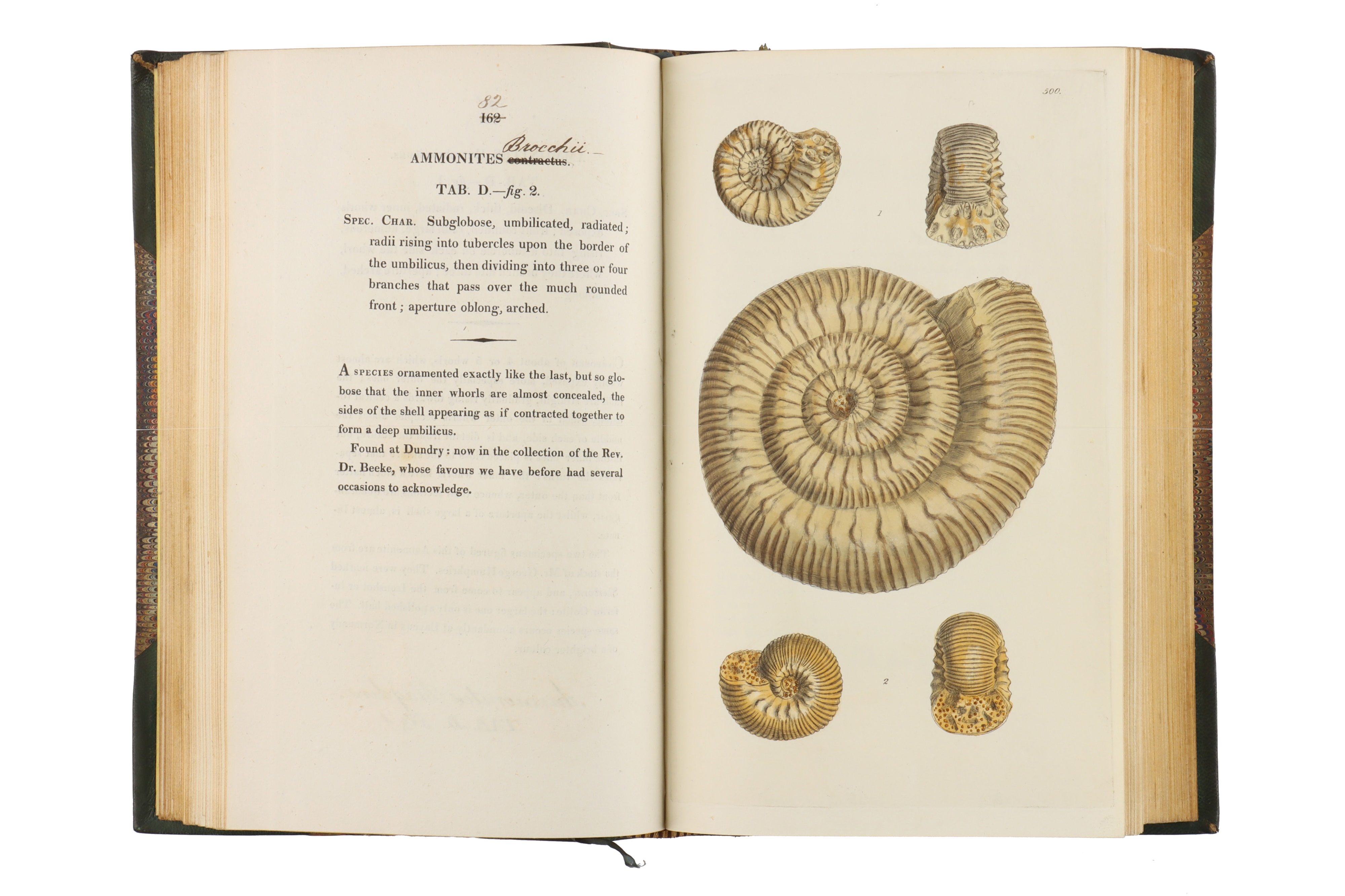 Sowerby, James, The Mineral Conchology of Great Britain, - Image 5 of 10