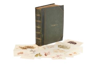 A Large & Well Annotated Mid 19th Century Album of Pressed Ferns,