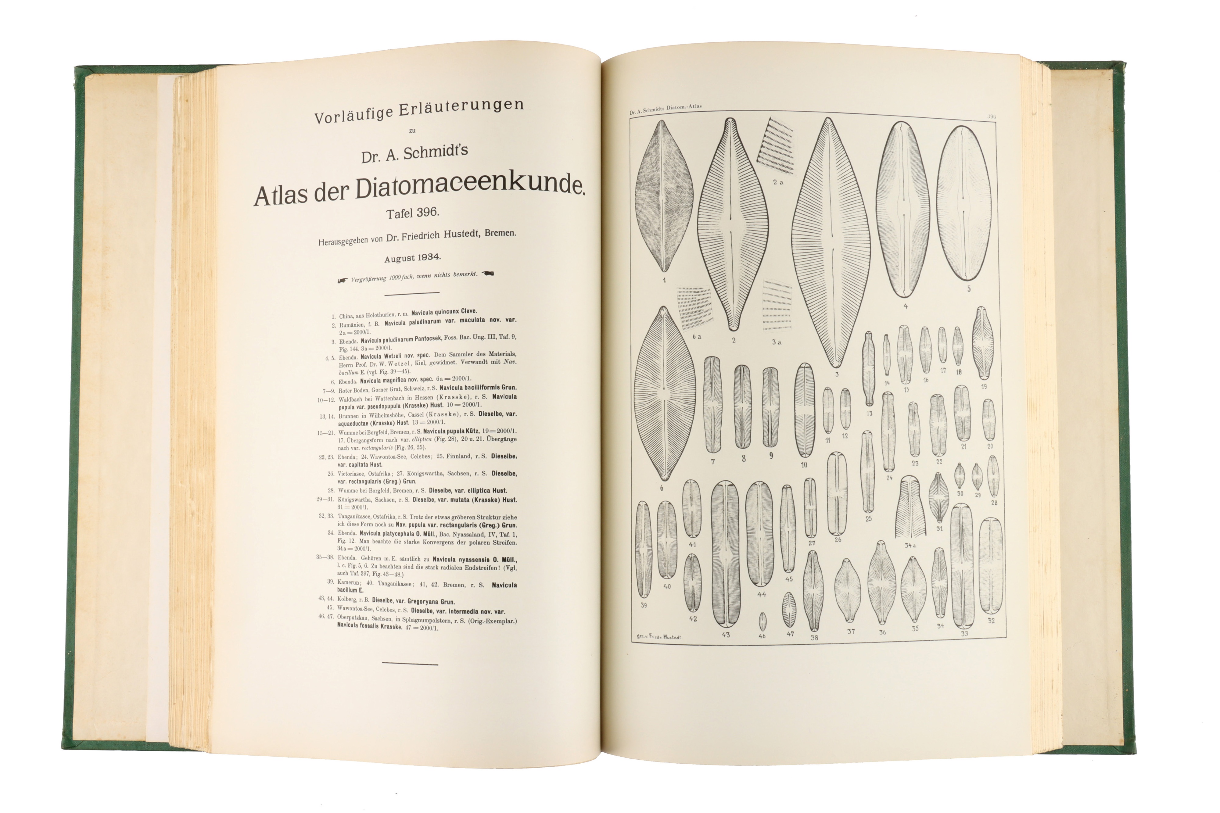 Atlas der Diatomaceen-Kunde. - Image 2 of 5