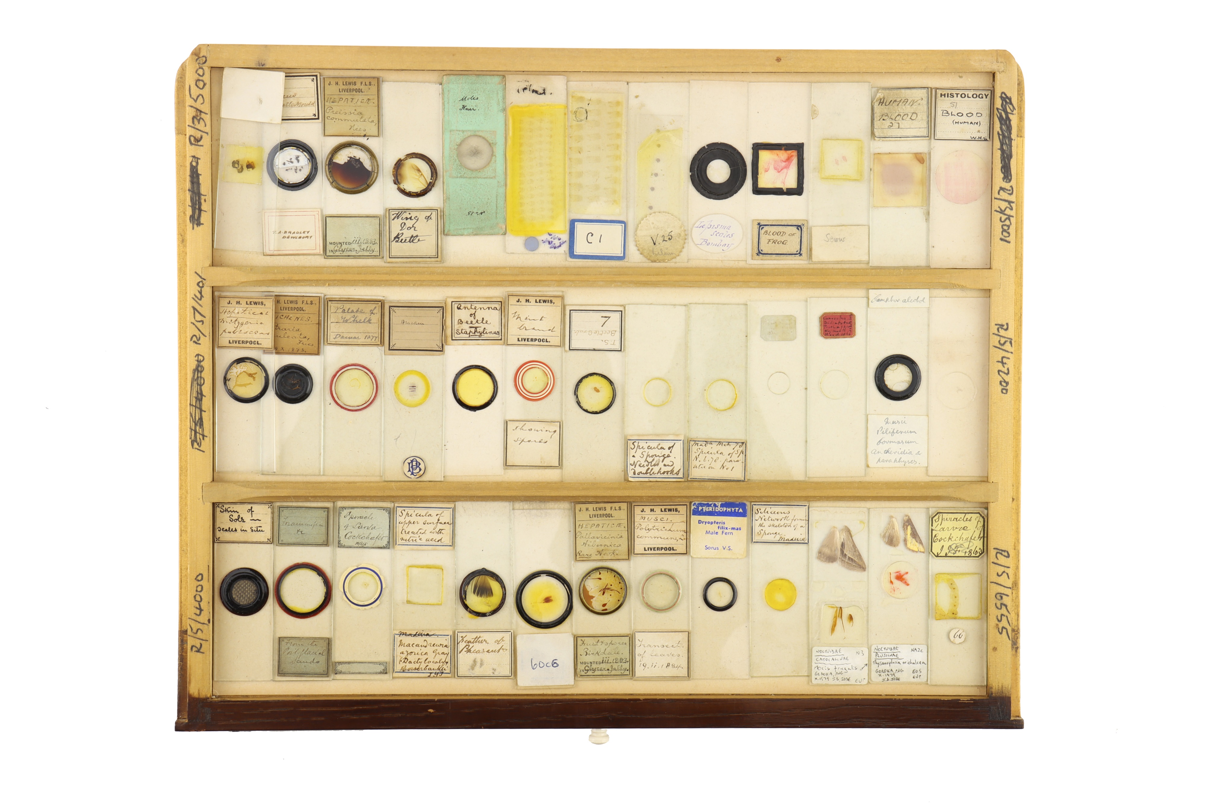 Large Cabinet of Microscope Slides, - Image 11 of 15