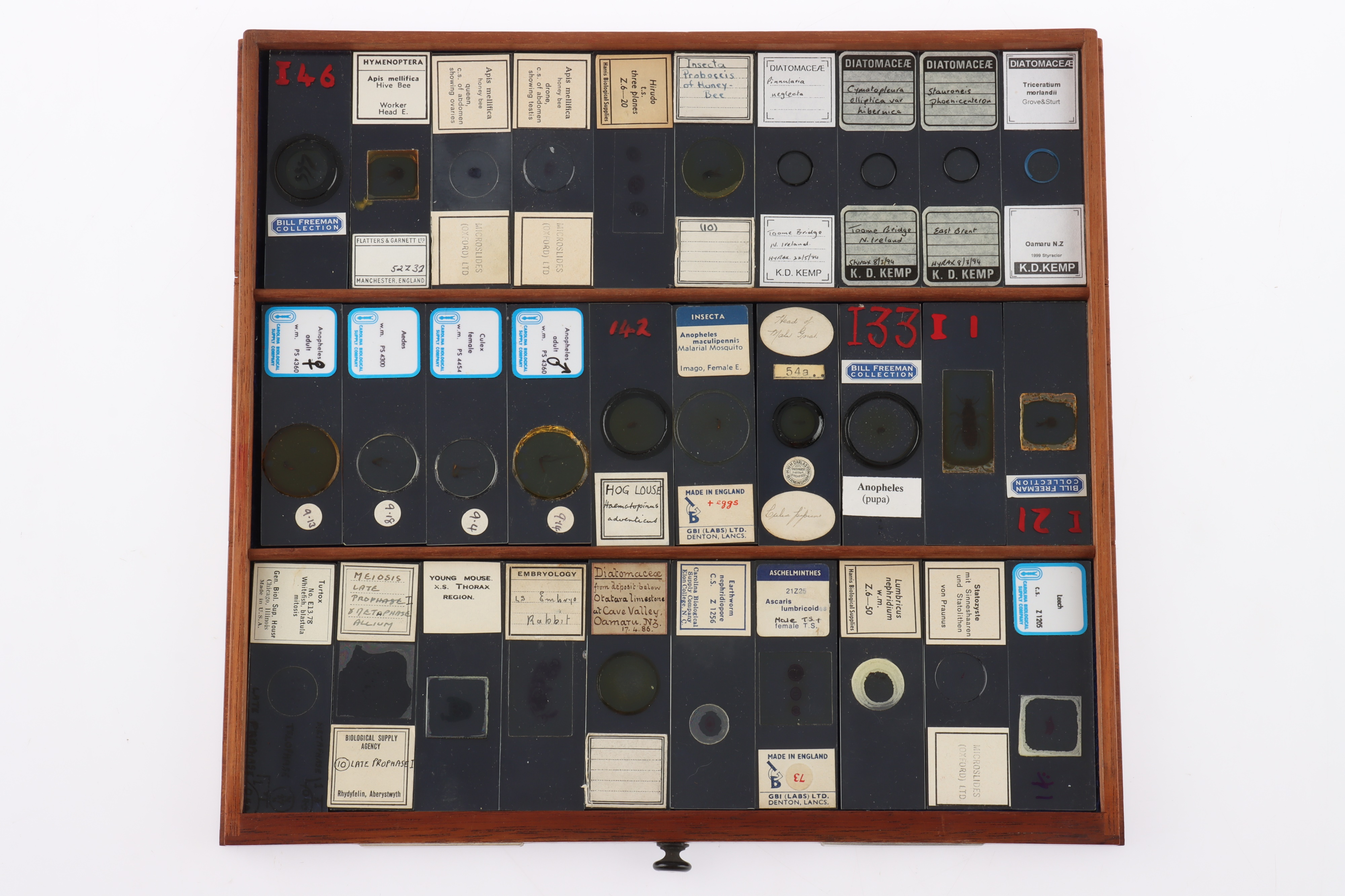 Large Cabinet of fine Victorian Microscope Slides - Image 8 of 26