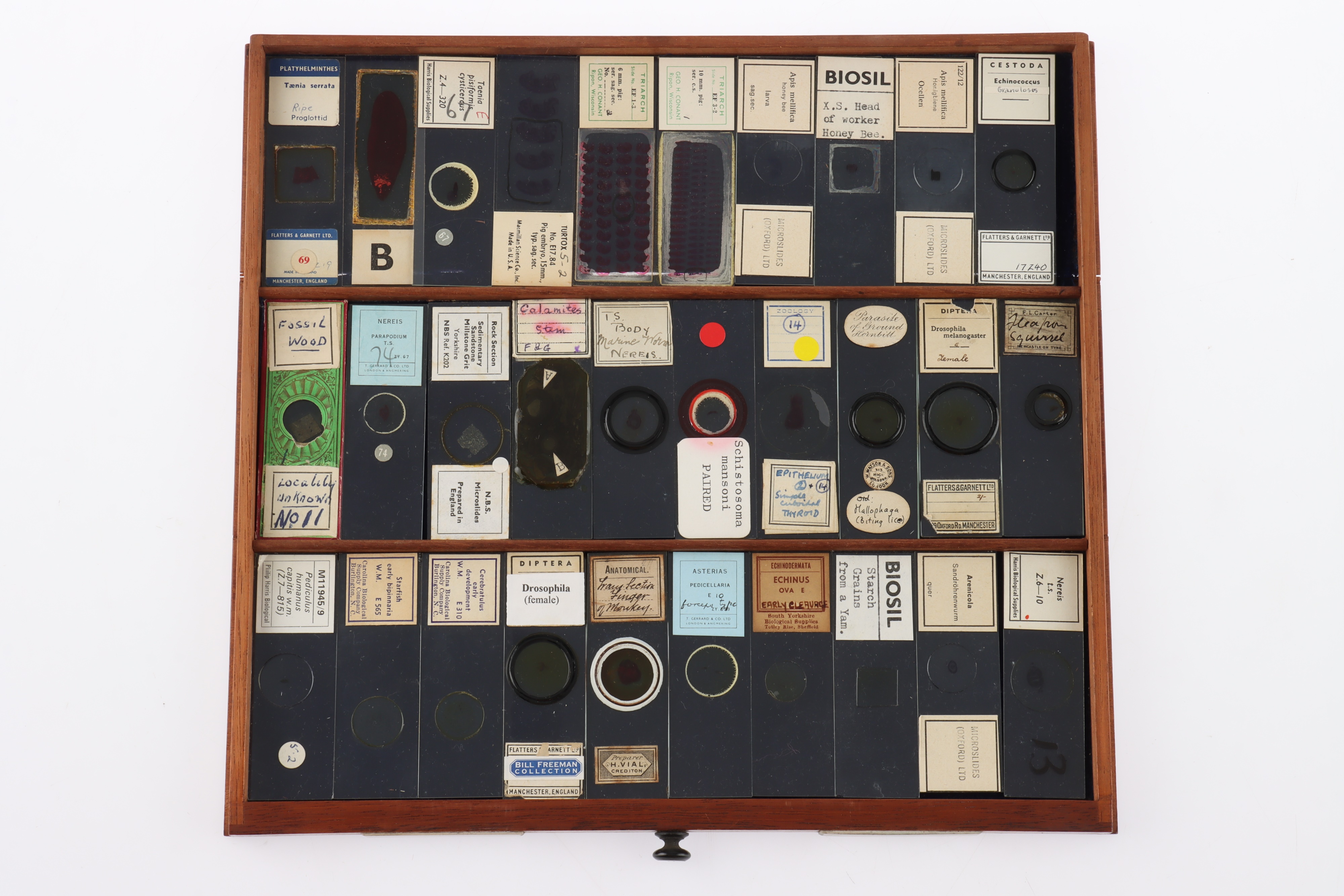 Large Cabinet of fine Victorian Microscope Slides - Image 7 of 26