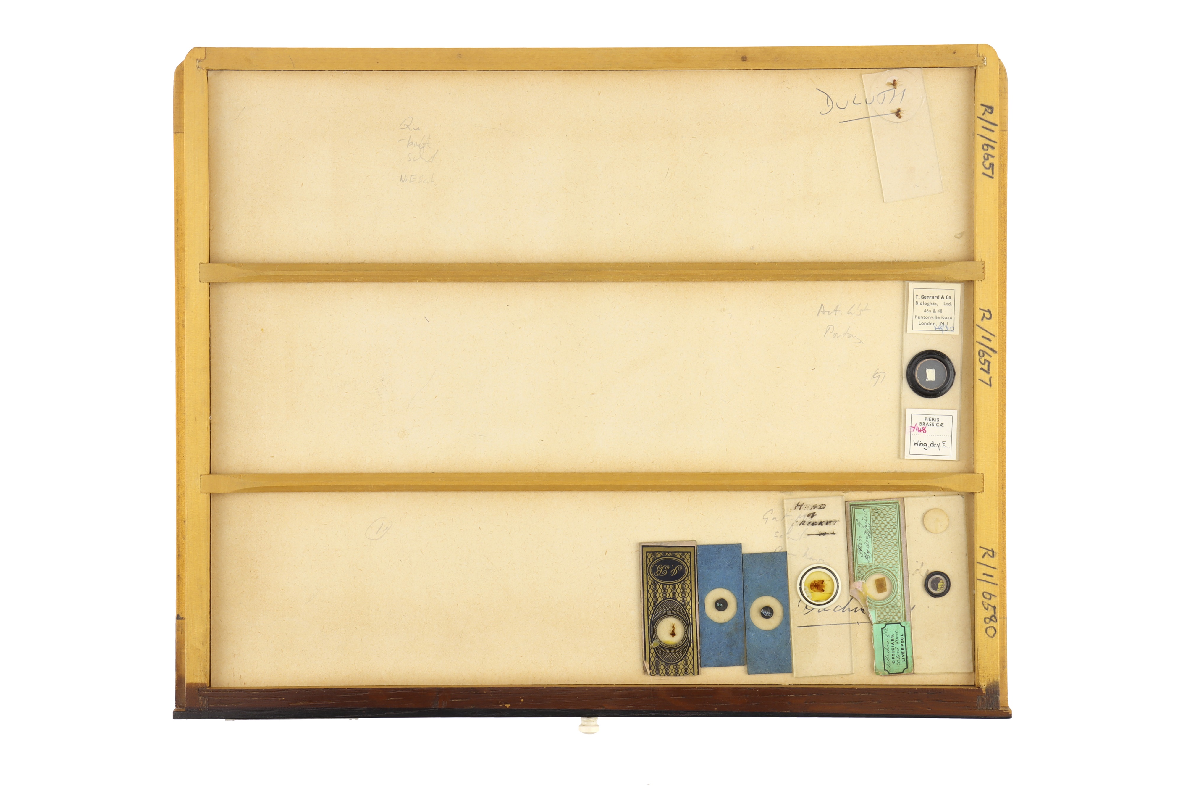 Large Cabinet of Microscope Slides, - Image 5 of 15