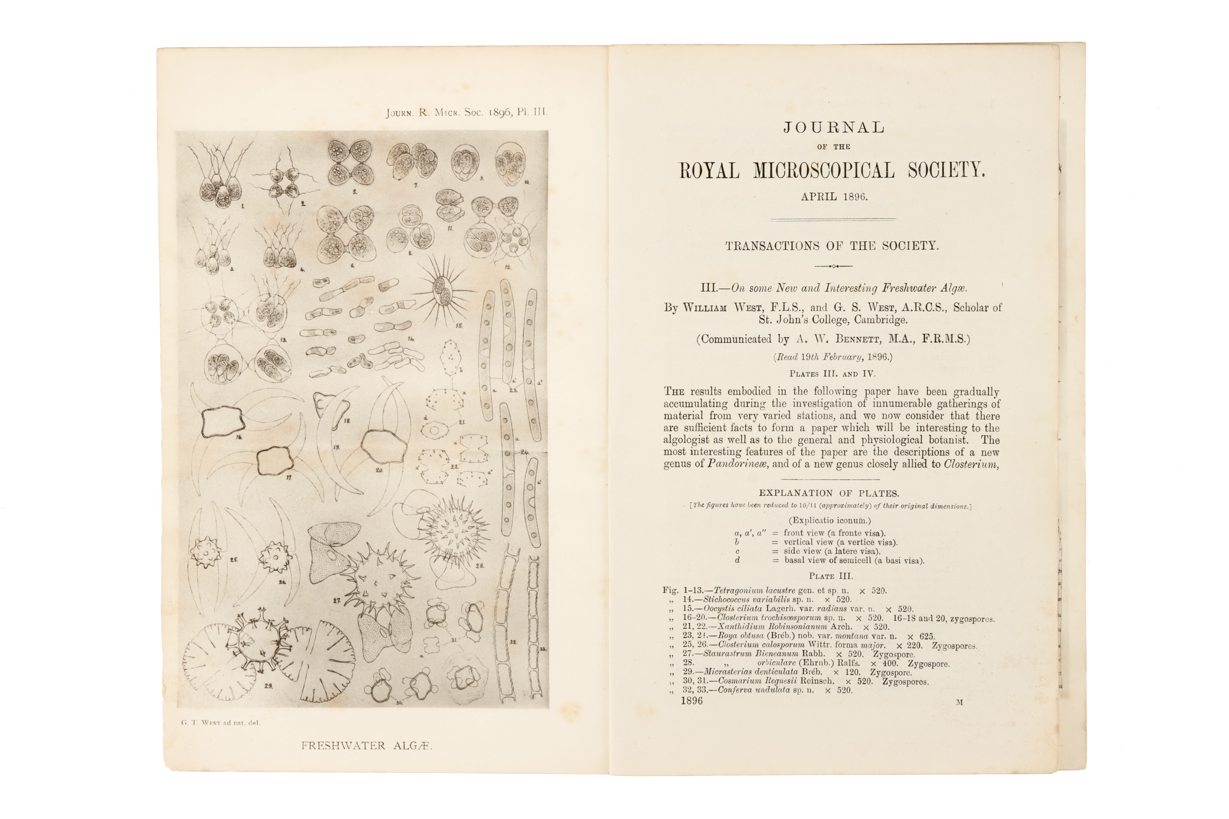 Hartnack's Monochromatic Microscope Illuminating Apparatus, - Image 5 of 6