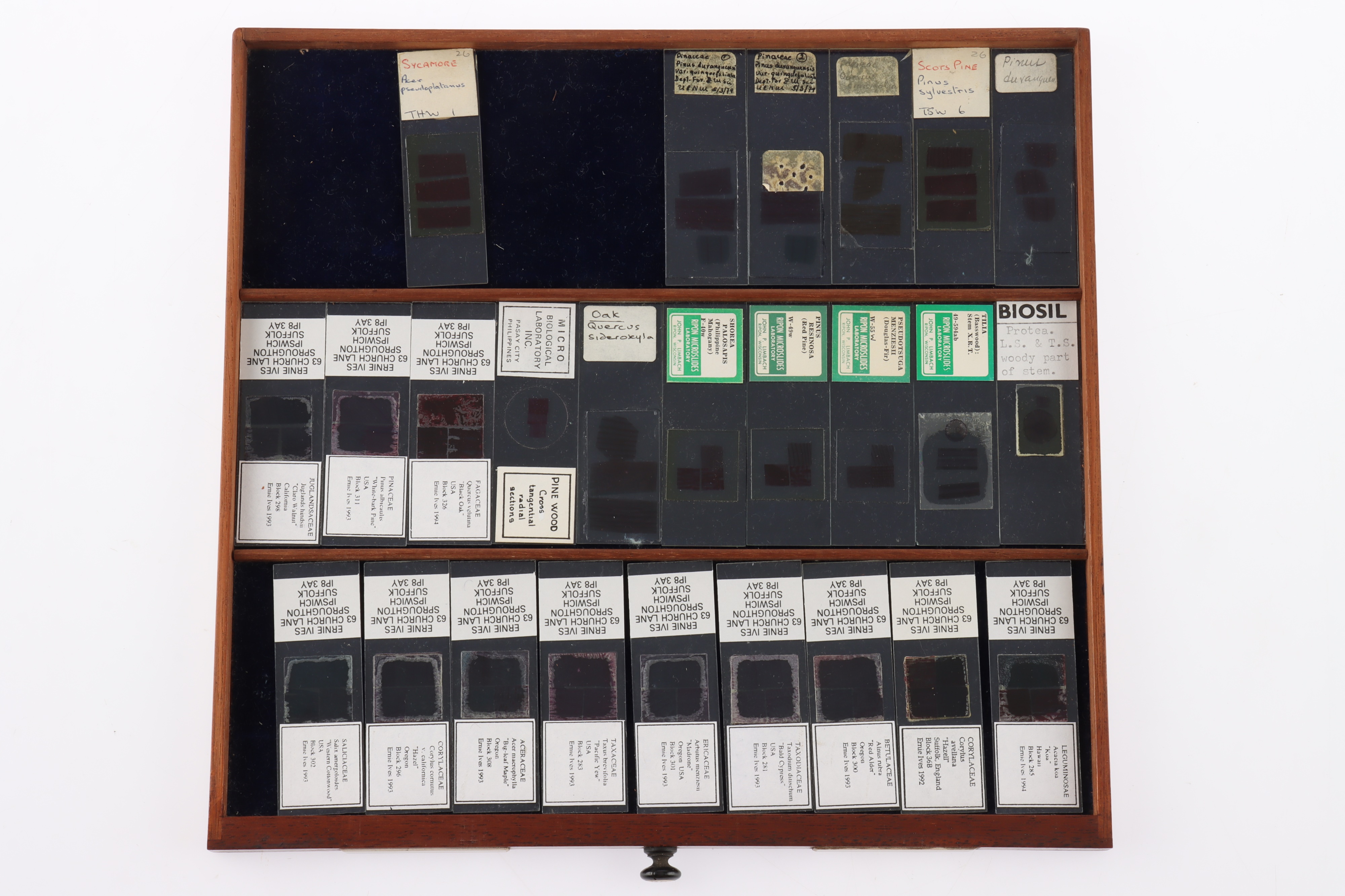 Large Cabinet of fine Victorian Microscope Slides - Image 26 of 26