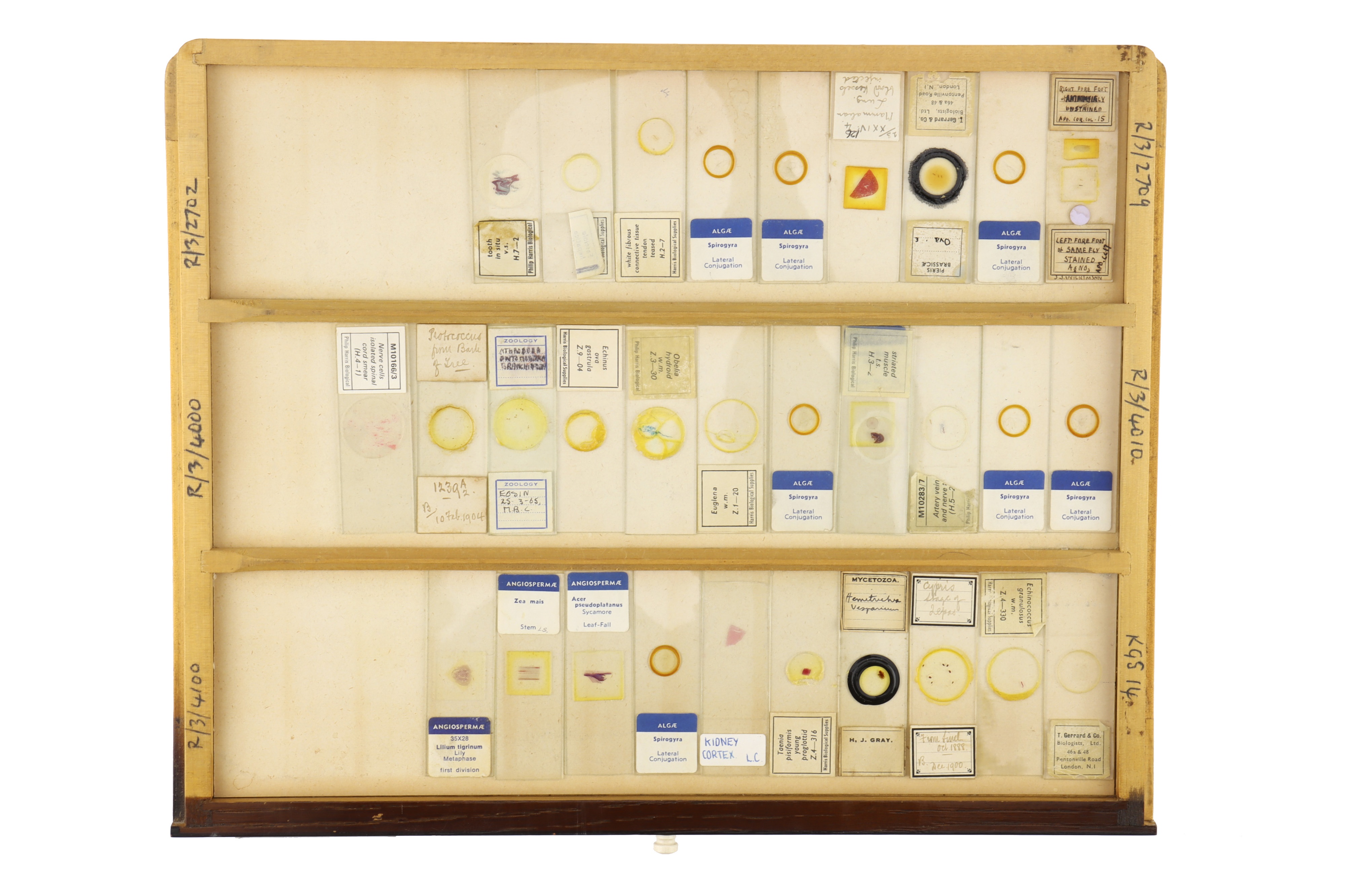 Large Cabinet of Microscope Slides, - Image 10 of 15