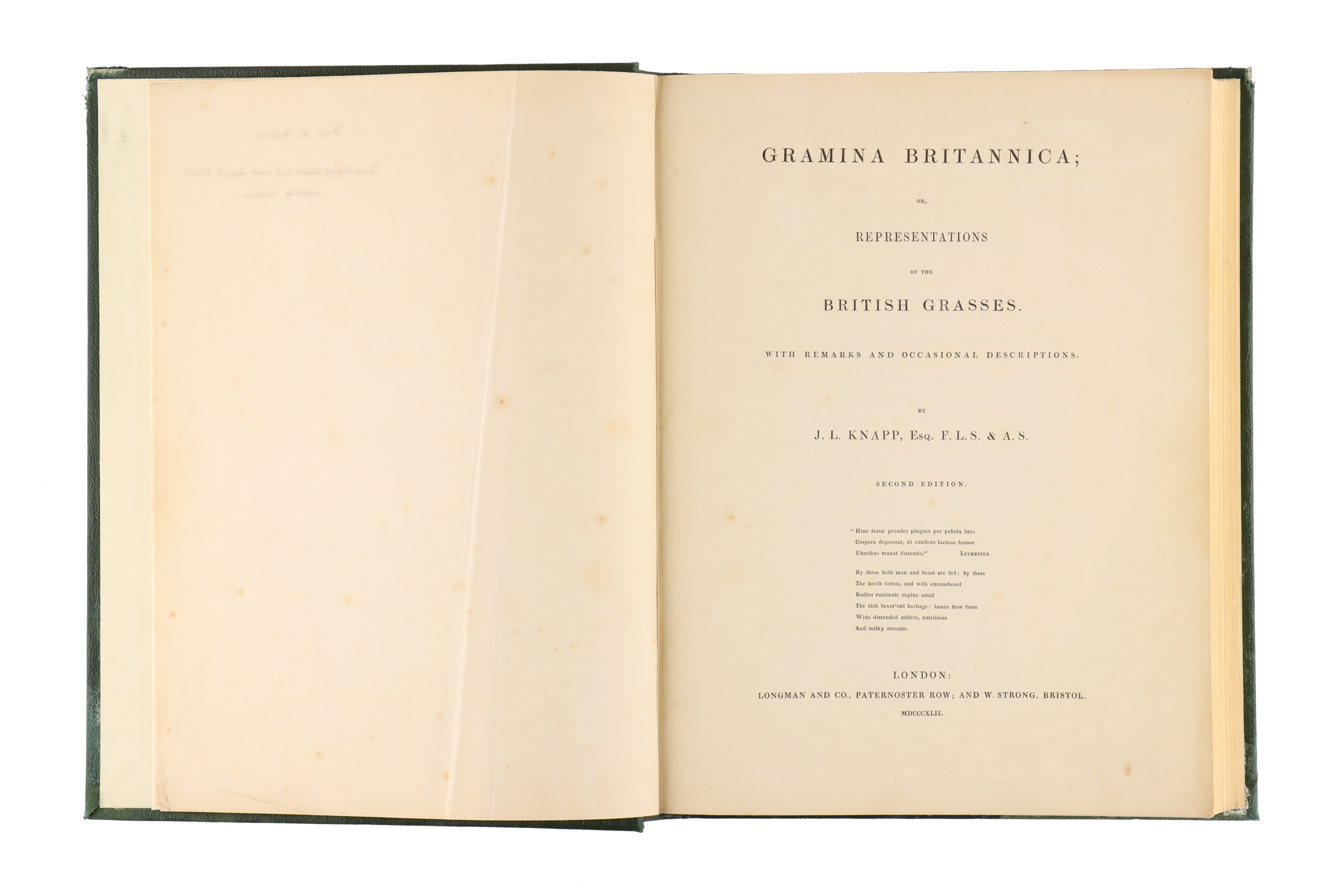 Knapp, J., L., Gramina Britannica; or Representations of the British Grasses, - Image 3 of 5