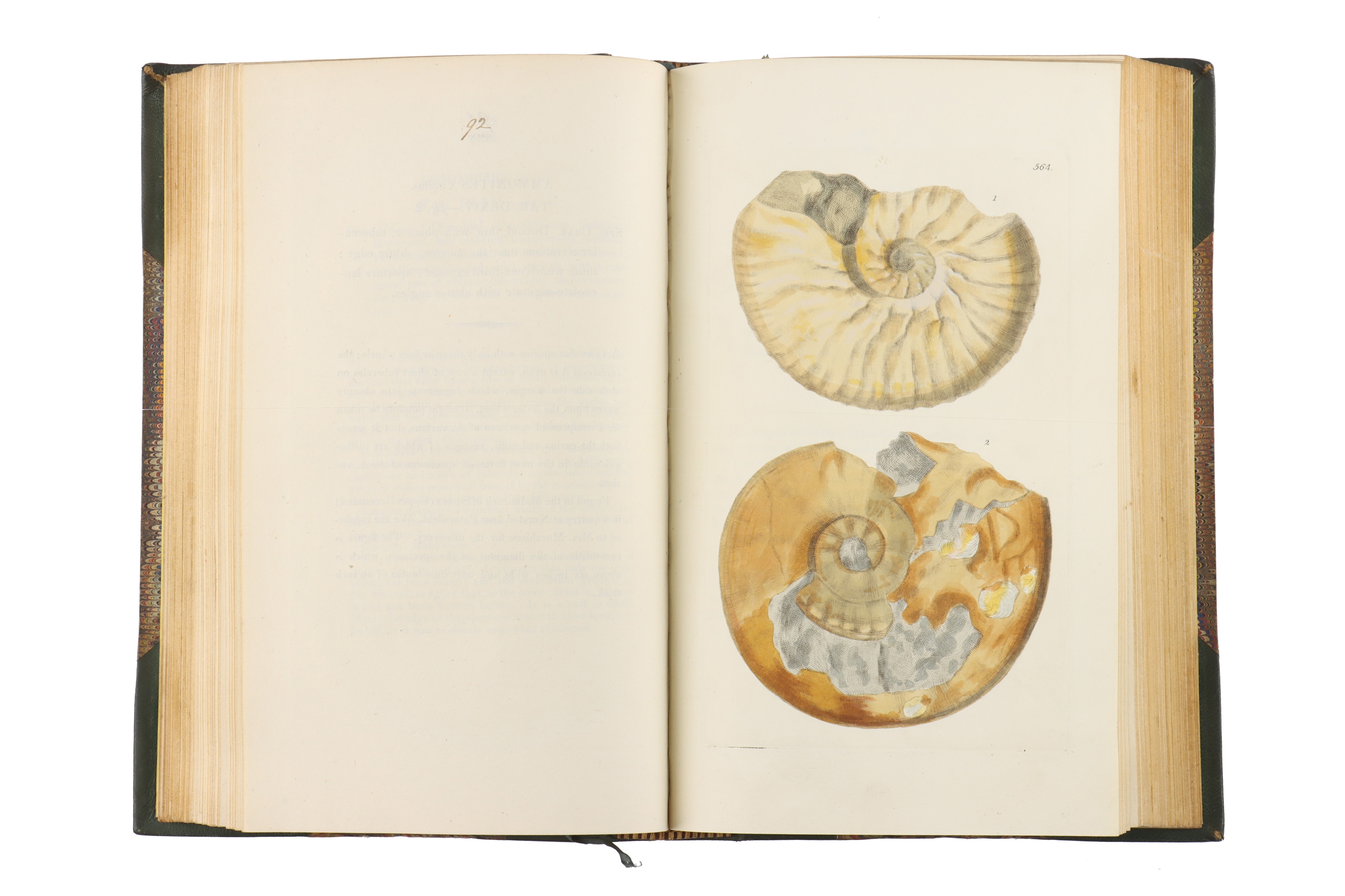 Sowerby, James, The Mineral Conchology of Great Britain, - Image 6 of 10