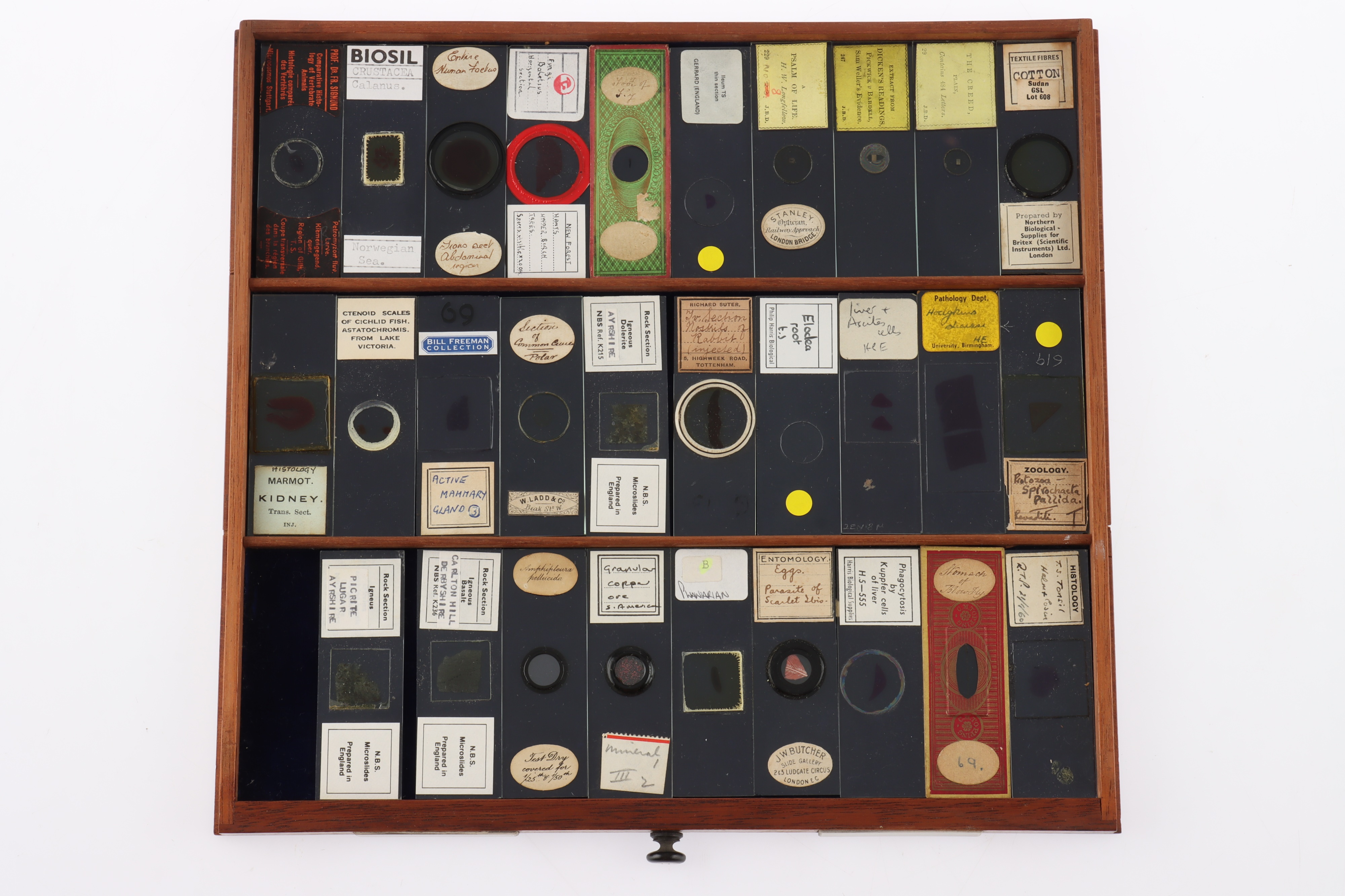 Large Cabinet of fine Victorian Microscope Slides - Image 12 of 26