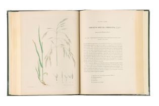 Knapp, J., L., Gramina Britannica; or Representations of the British Grasses,