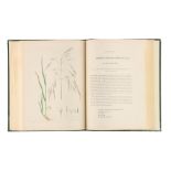 Knapp, J., L., Gramina Britannica; or Representations of the British Grasses,