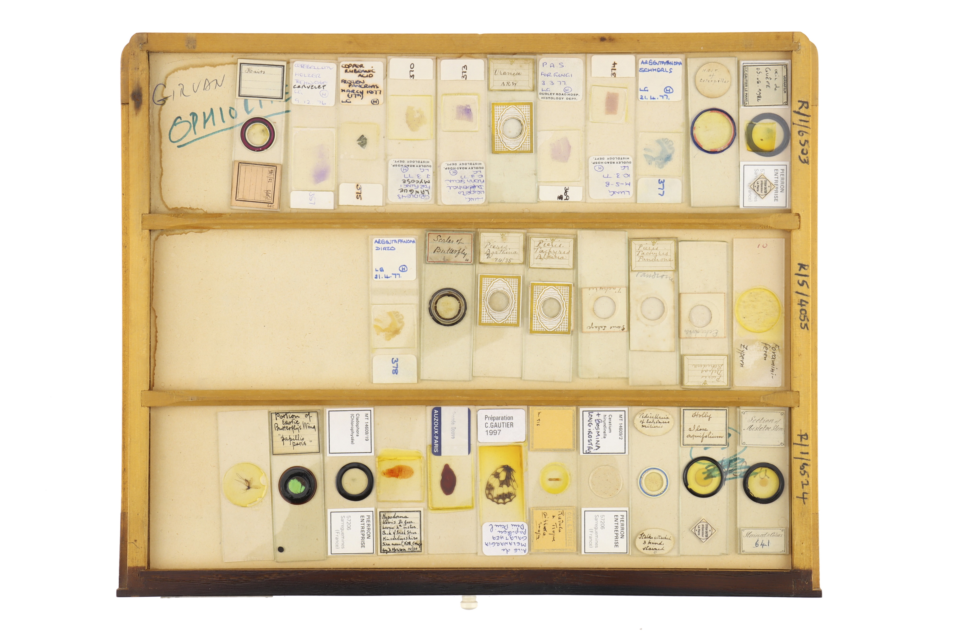 Large Cabinet of Microscope Slides, - Image 3 of 15