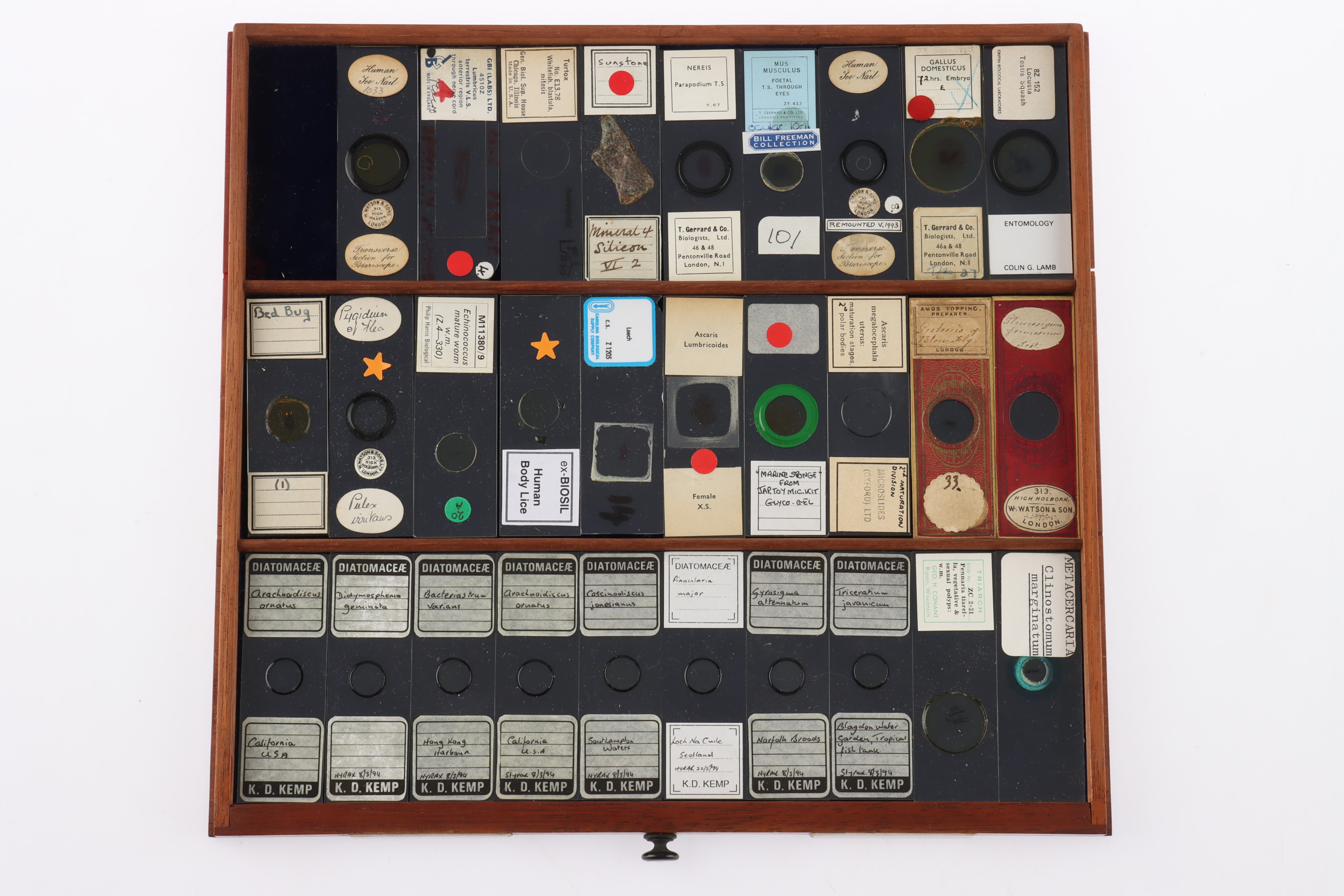 Large Cabinet of fine Victorian Microscope Slides - Image 9 of 26
