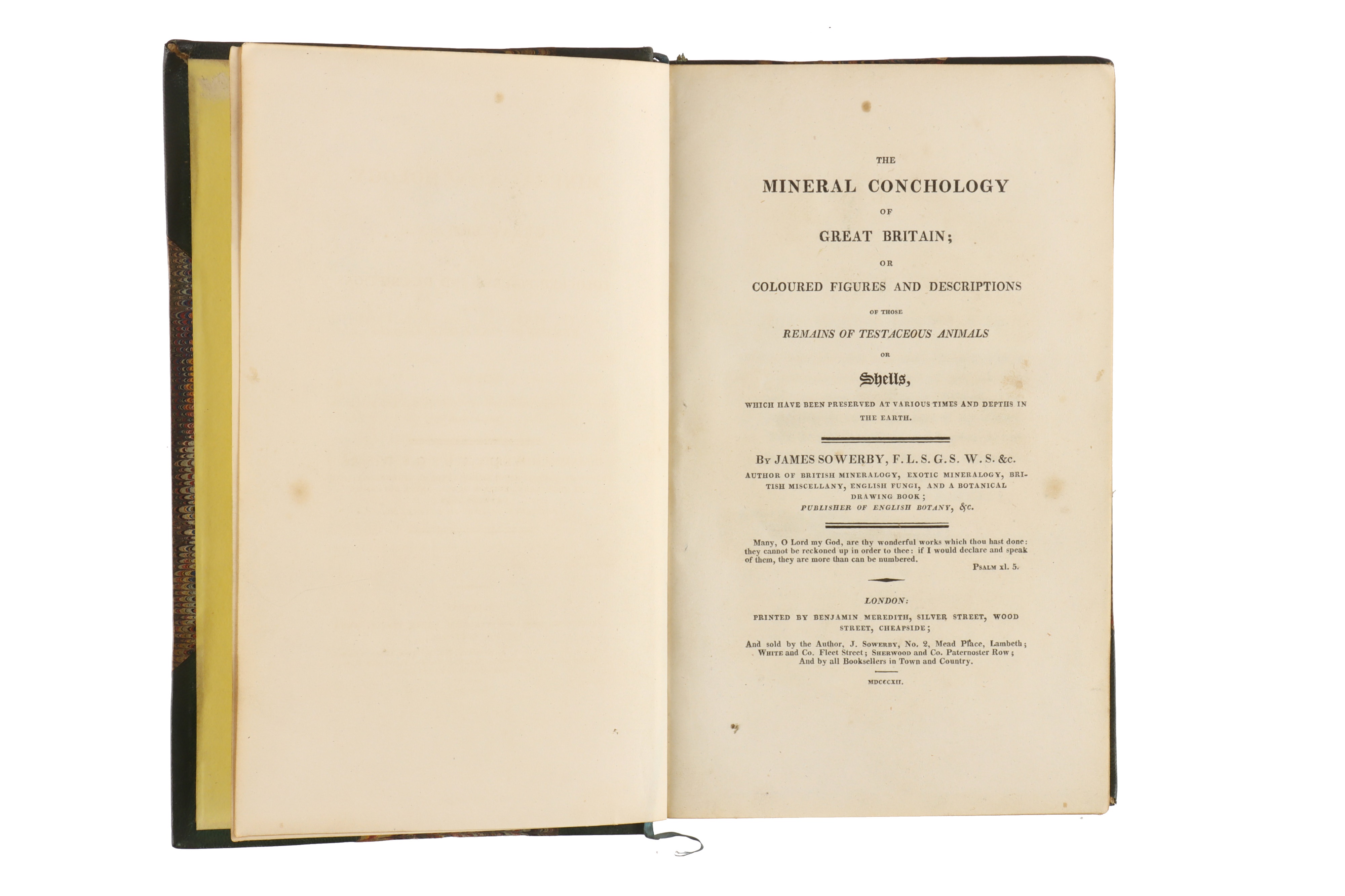 Sowerby, James, The Mineral Conchology of Great Britain, - Image 7 of 10