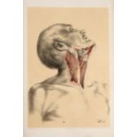 Ellis, George Viner, Illustrations of Dissections, 1867,