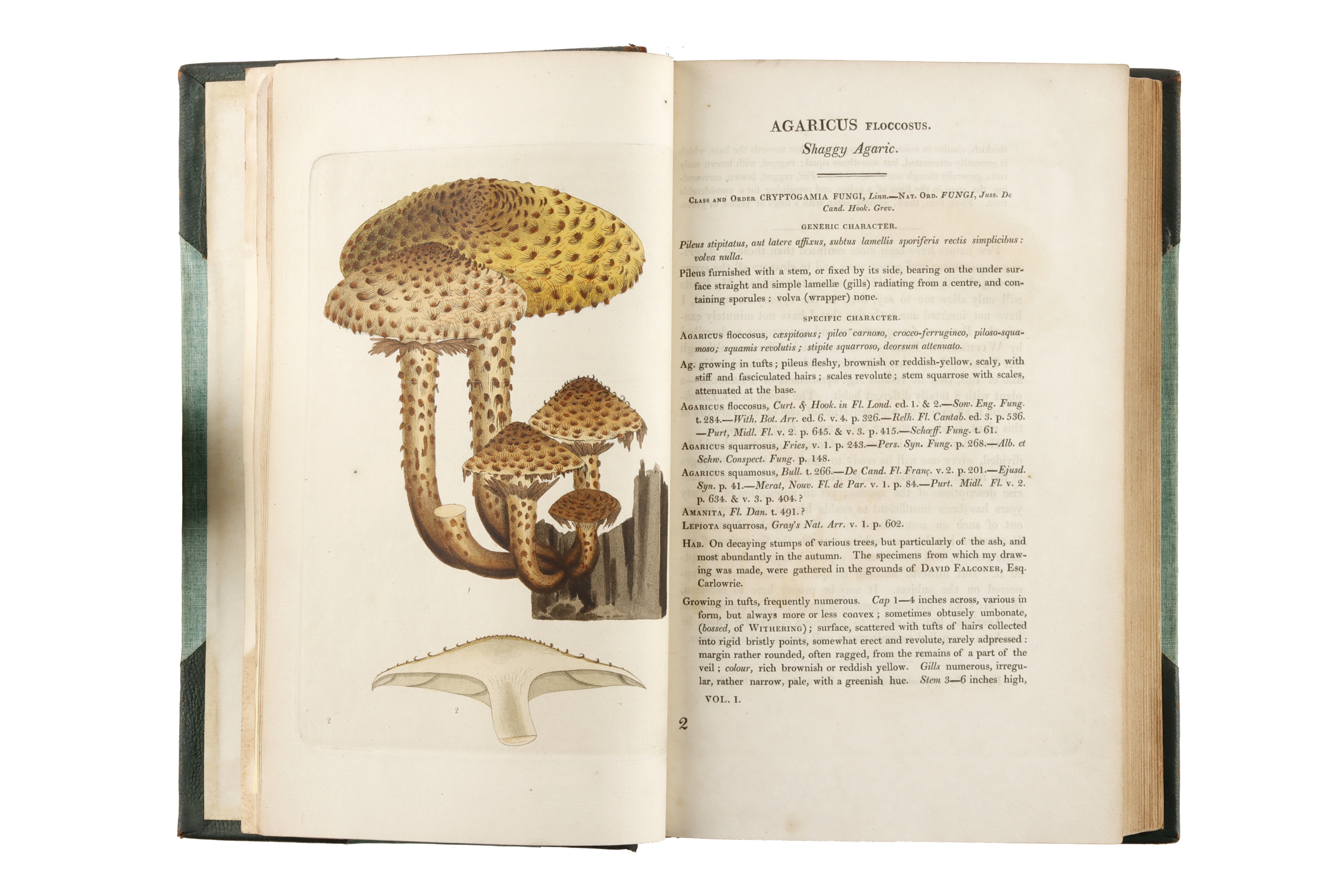 Greville, Robert Kaye, Scottish Cryptogamic Flora, or Coloured Figures and Descriptions of - Image 5 of 5