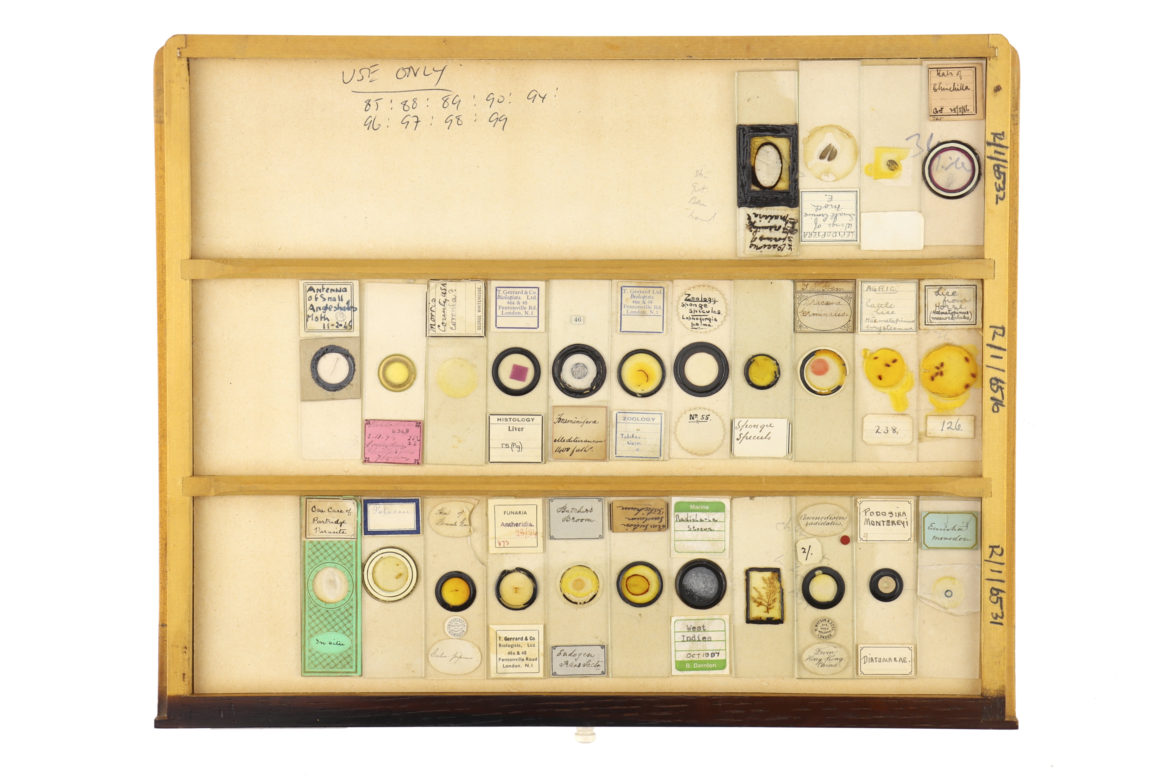 Large Cabinet of Microscope Slides, - Image 4 of 15