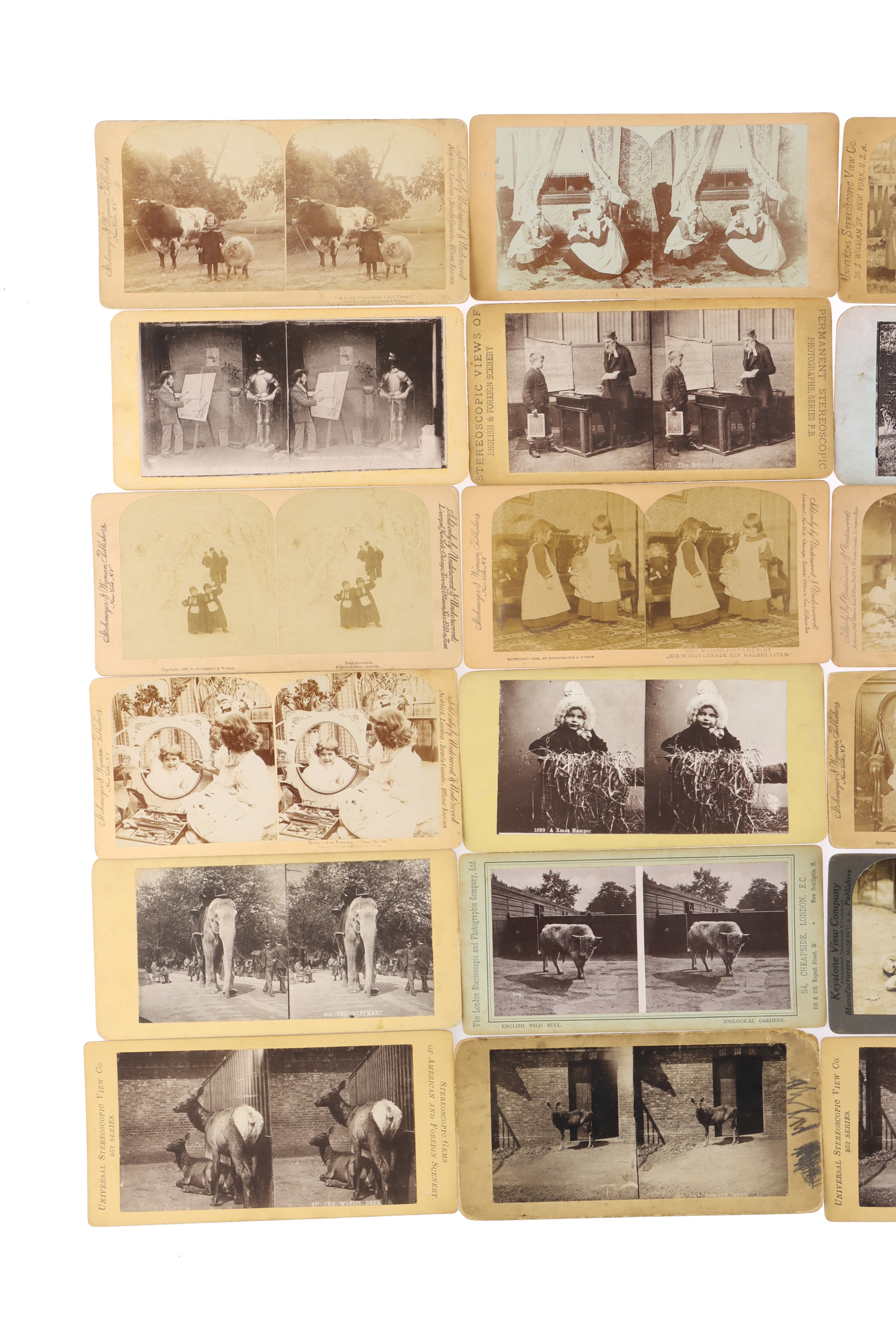 Stereoviews of Children, Animals and Humour - Image 10 of 28