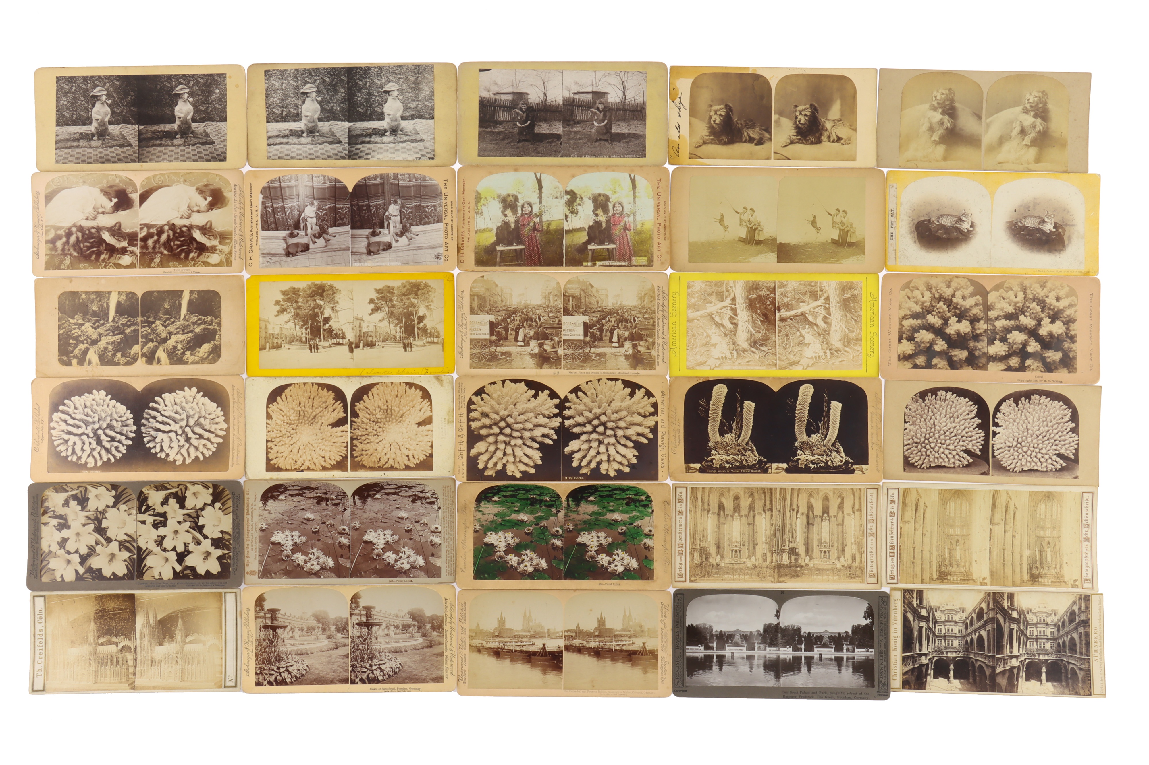 Stereoviews and Bookform Boxes - Image 13 of 45