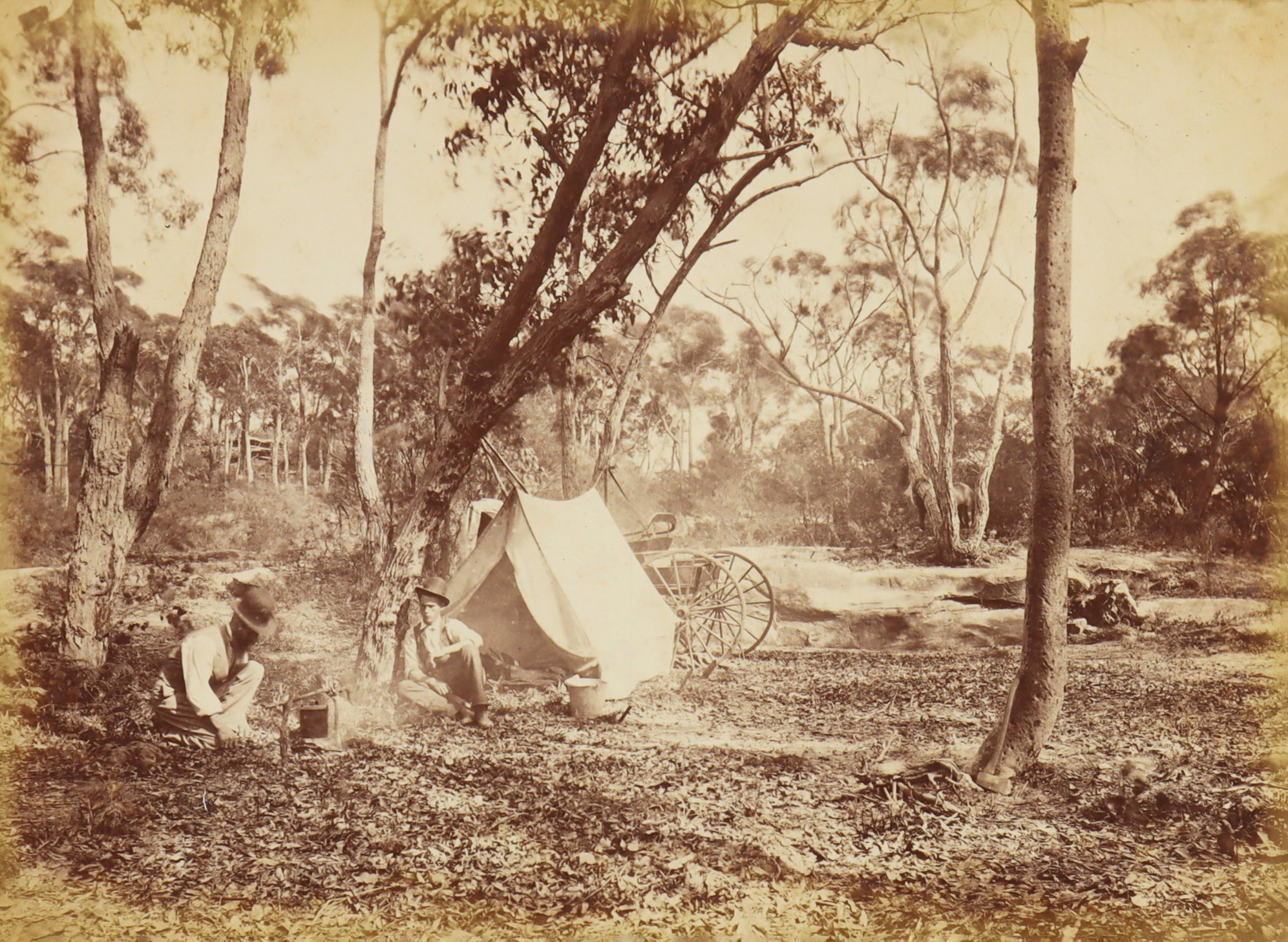 Australia Camping in the Bush