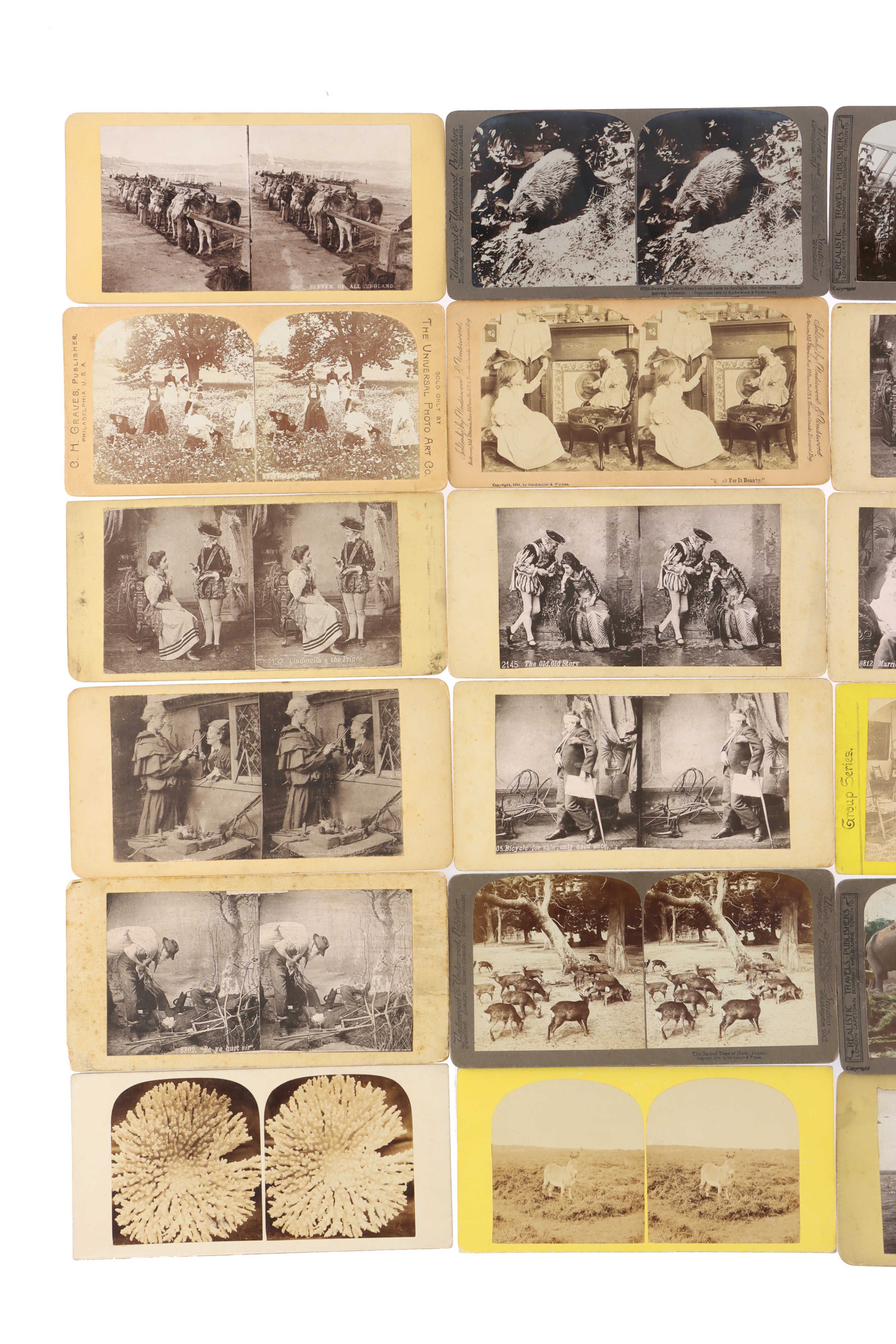 Stereoviews of Children, Animals and Humour - Image 14 of 28