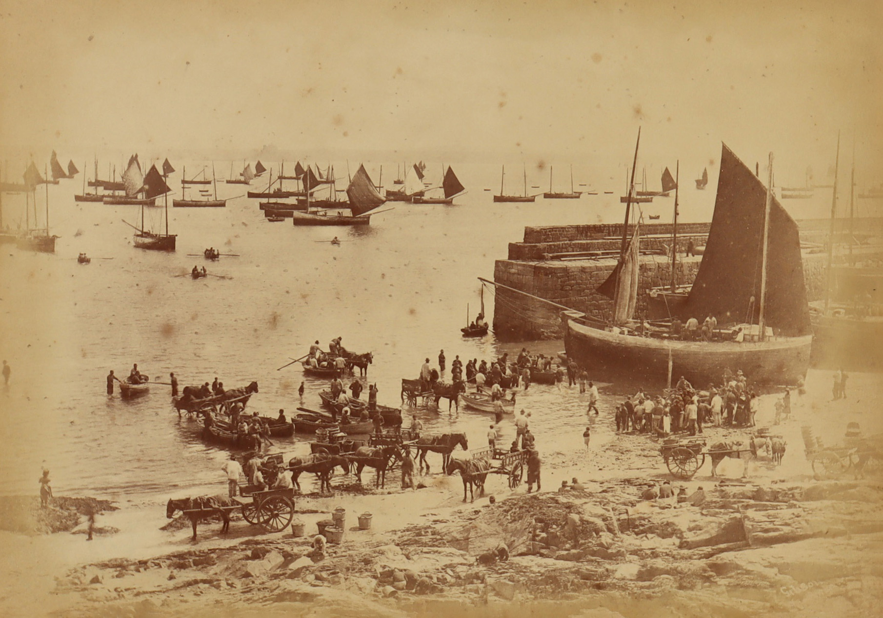 Gibson, Albumen Print of Newlyn Harbour,