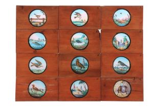 12 Lantern Slides of Cock Robin,