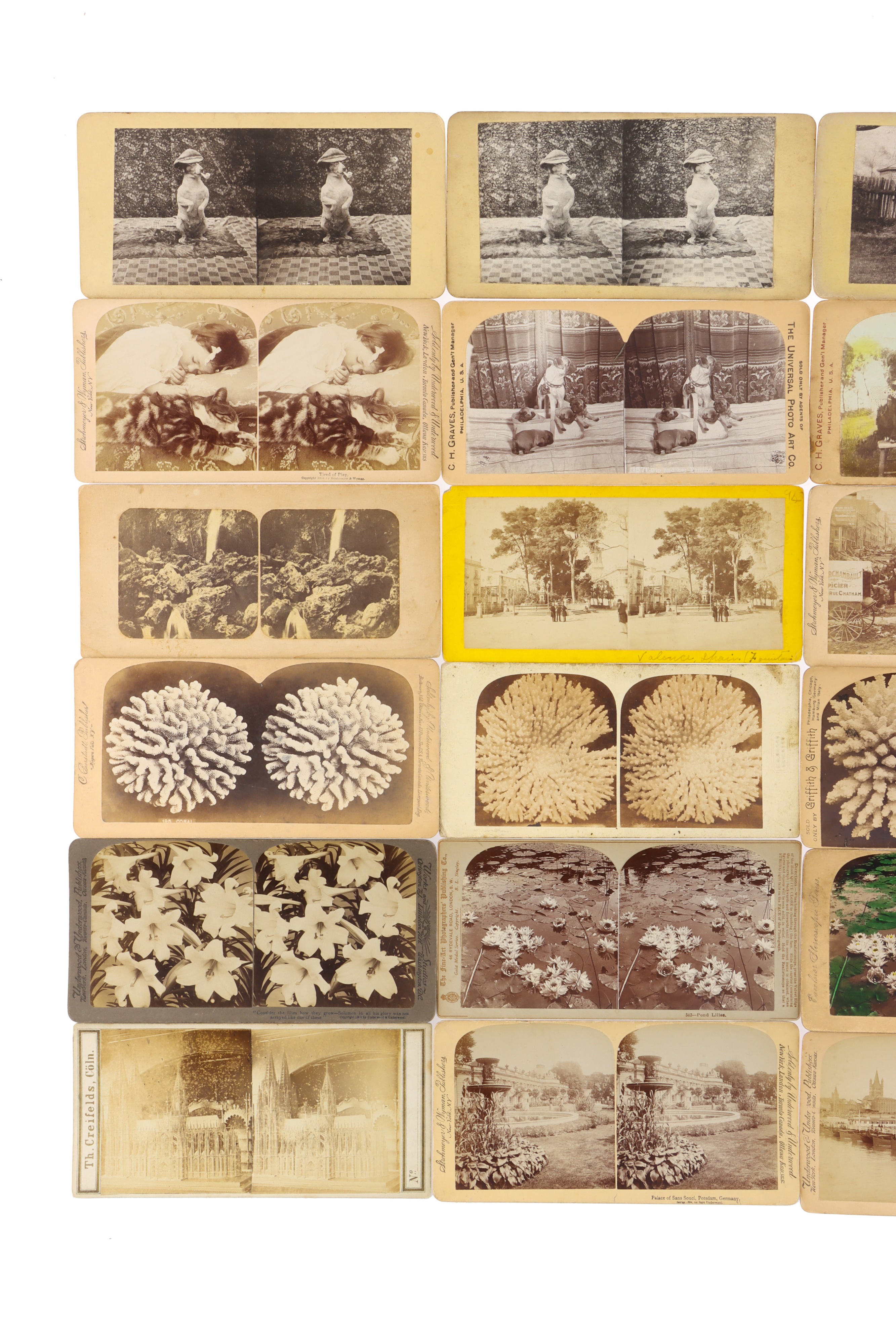 Stereoviews and Bookform Boxes - Image 14 of 45