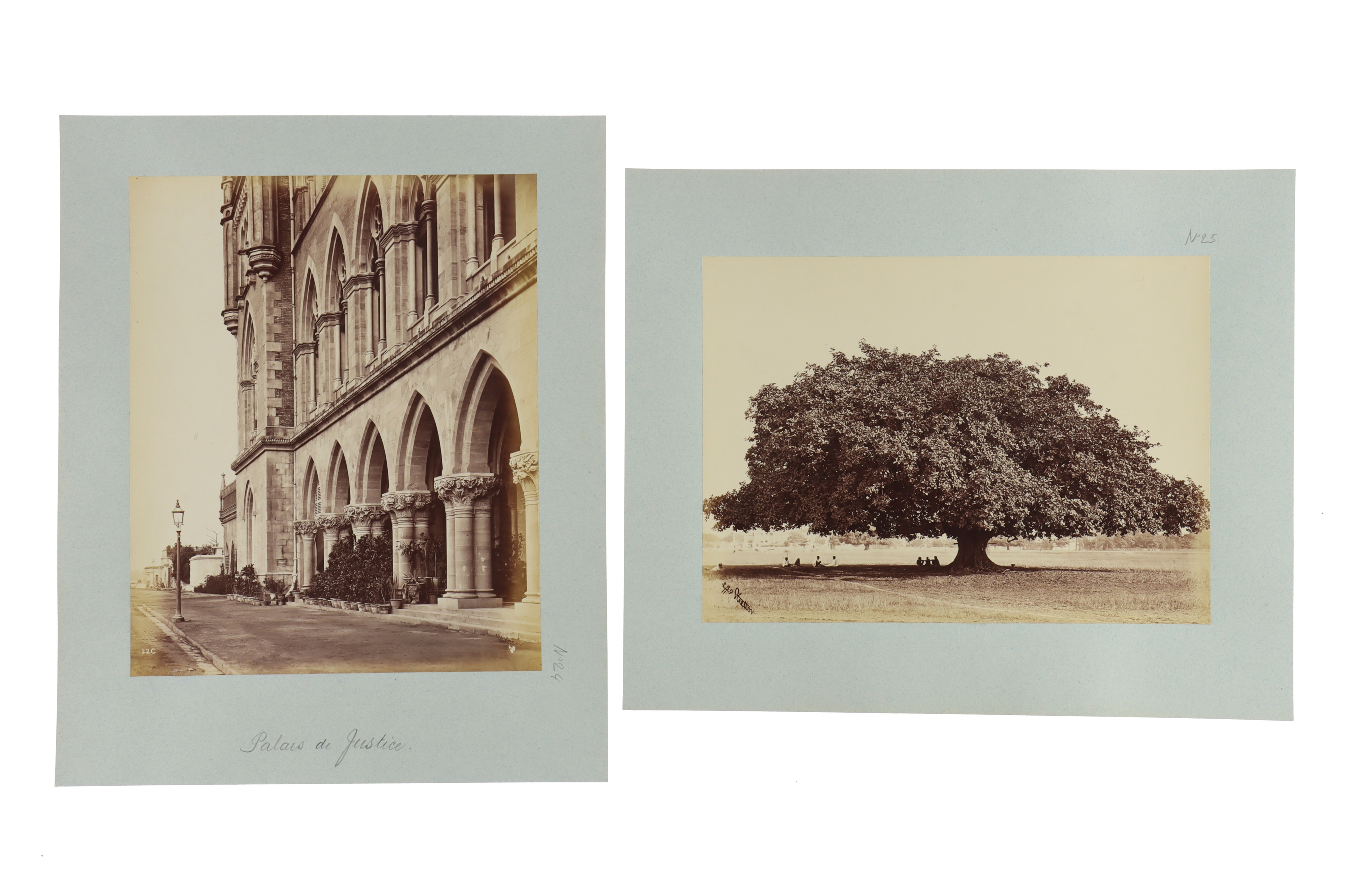 W.G.Stretton Photographs of Calcutta - Image 3 of 10