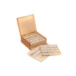 Collection of 113 Diatom Microscope Slides,