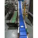 INCLINE FLIGHTED BELT CONVEYOR.