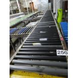 ROLLER CONVEYOR & PACKING LINE.