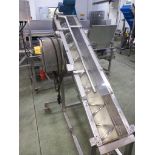 S/S INCLINED RIBBON SCREW CONVEYOR.