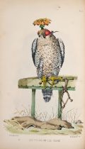 Falconry.- Salvin (Francis Henry) and William Broderick. Falconry in the British Isles, second ed...