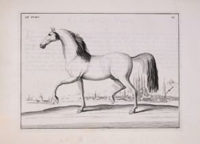 Horses.- Eisenberg d' (Barone) Description du Manege Moderne dans sa perfection, first edition, n...