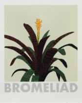 Jonas Wood (b.1977) Bromeliad