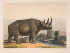 Africa.- Daniell (Samuel) Seven plates from 'African Scenery and Animals', lithographs, [1831]; a...