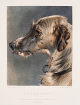 Landseer (Edwin) and others. The Sportsman's Annual. First Series. Dogs, A.H. Baily & Co., 1836.