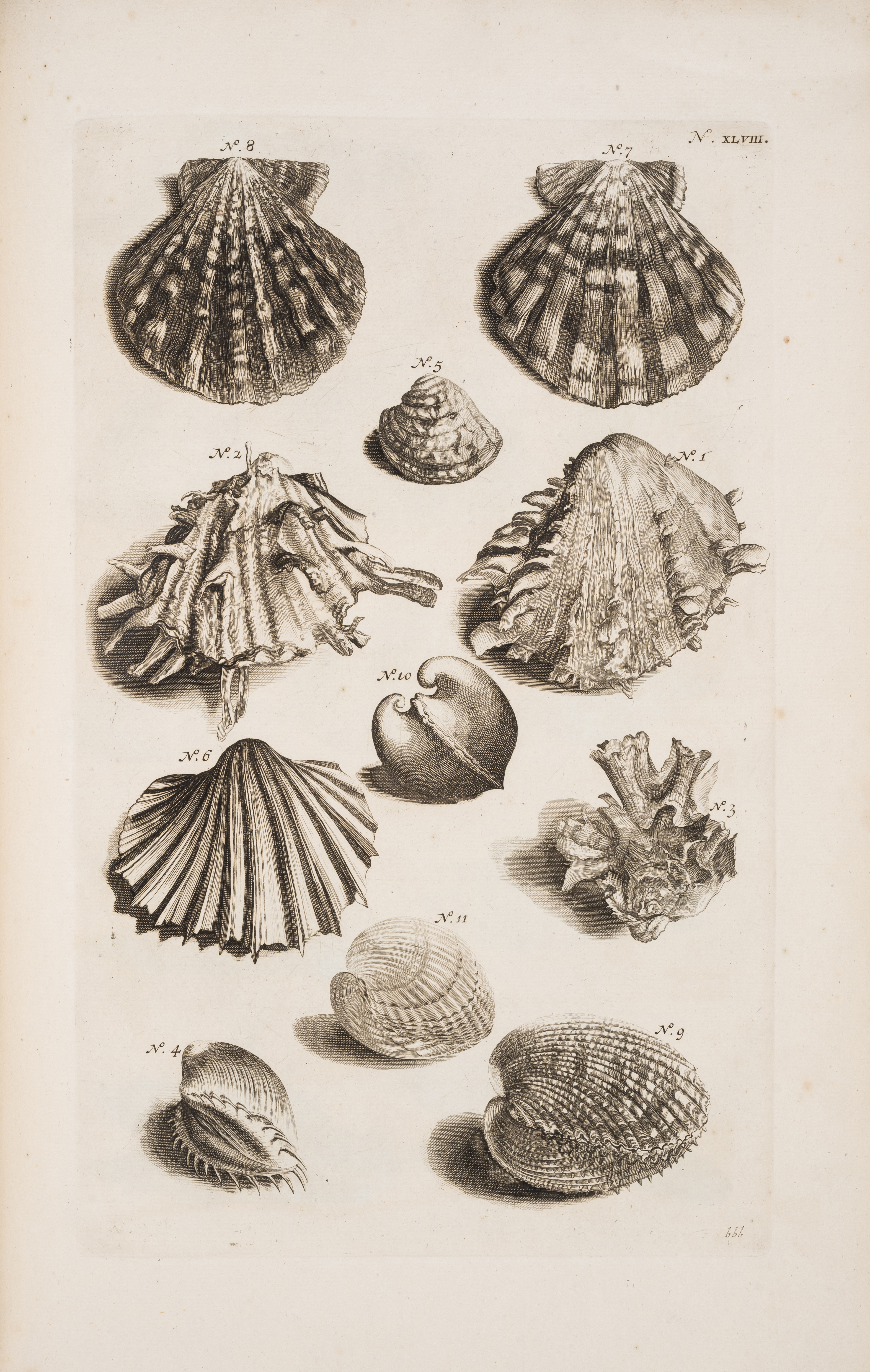 Marine life.- Rumpf (Georg Eberhard) Thesaurus imaginum piscium testaceorum, Leiden, Peter van de... - Image 2 of 3