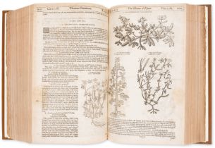 Herbal.- Parkinson (John) Theatricum Botanicum, first edition, hand-coloured engraved title and o...