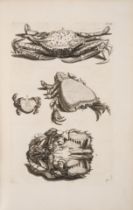 Marine life.- Rumpf (Georg Eberhard) Thesaurus imaginum piscium testaceorum, Leiden, Peter van de...