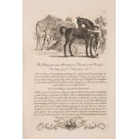 [Roberts (James & Henry)] [The Sportsman's Companion: or Portraitures, Pedigrees and Performances...